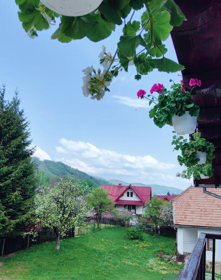 Voinescu House - Natural Living & Eating シモン エクステリア 写真